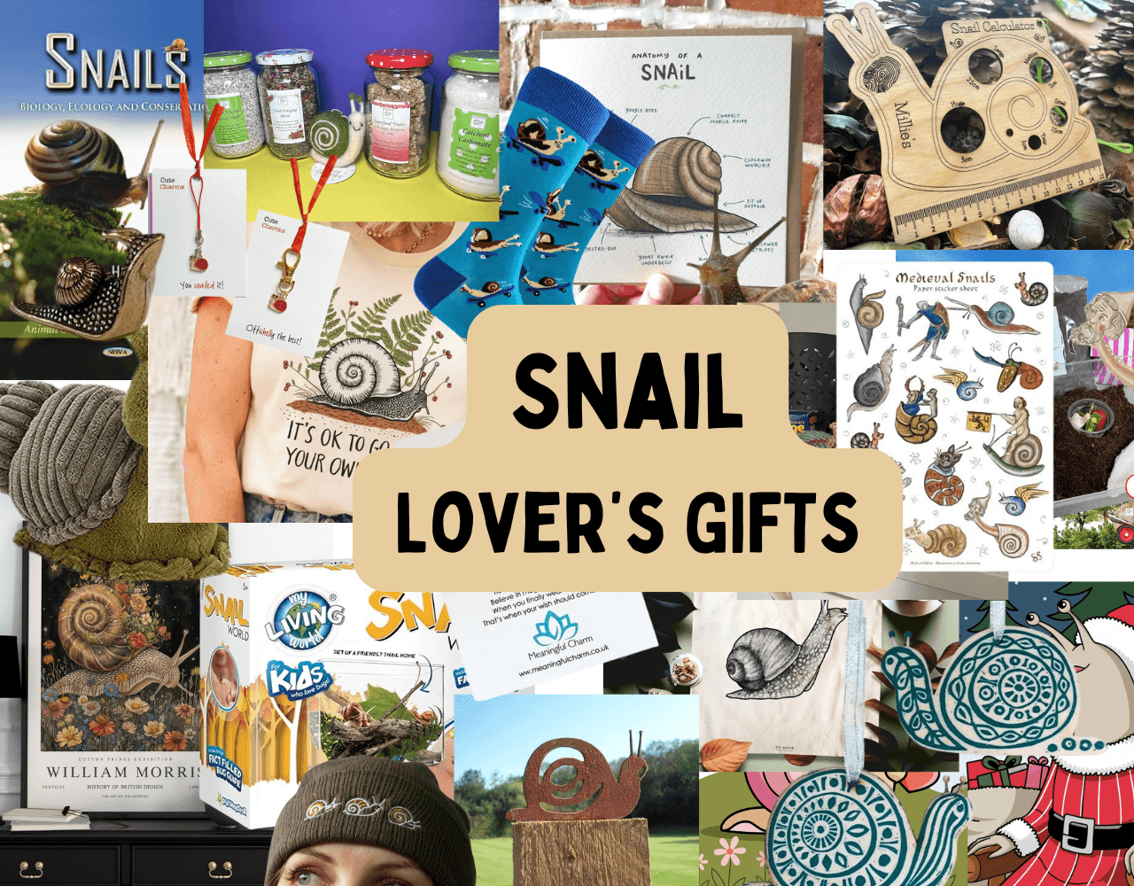 snail themed gifts