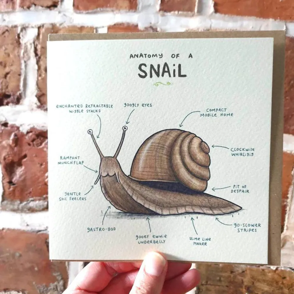 Anatomy of a Snail Card