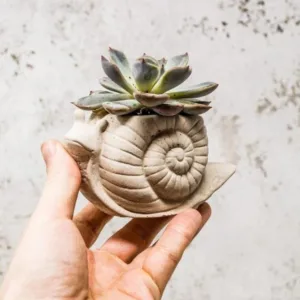 Concrete Snail Plant Pot