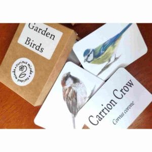 British Garden Birds Flashcards: Nature Learning Cards