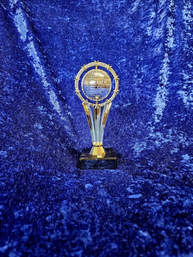 an award that is shaped like a disco glitter ball