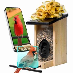 Smart AI Bird Feeder with Camera Solar Powered