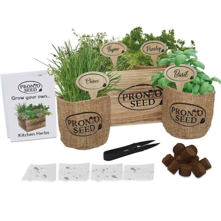 This kit contains everything you need to start growing your own herbs. Grow your own basil, thyme, chives, and parsley. Make multiple sowings over the year to ensure you always have a fresh supply of tasty herbs.