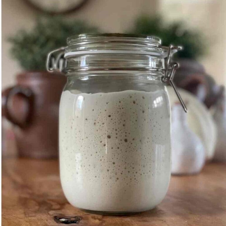 Over a Century old Organic Sourdough Starter Live Culture, autumn Gift, Christmas gift, Gift idea