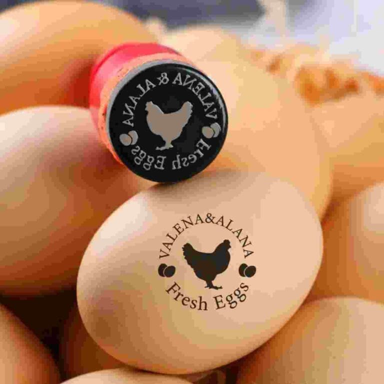 Egg Stamps Personalized Custom Egg Stamp, Chicken Coop Idea, Chicken Egg Stamp, Farm Stamper, Chicken Gifts, Hen Mini Egg Stamp For Farmer