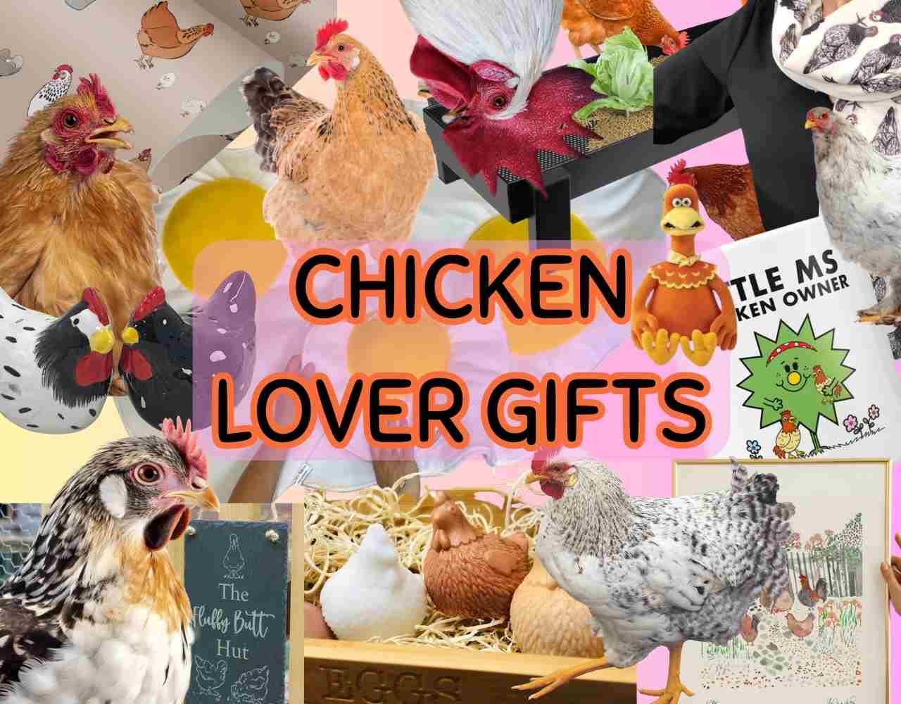 Lots of Chicken themed gifts