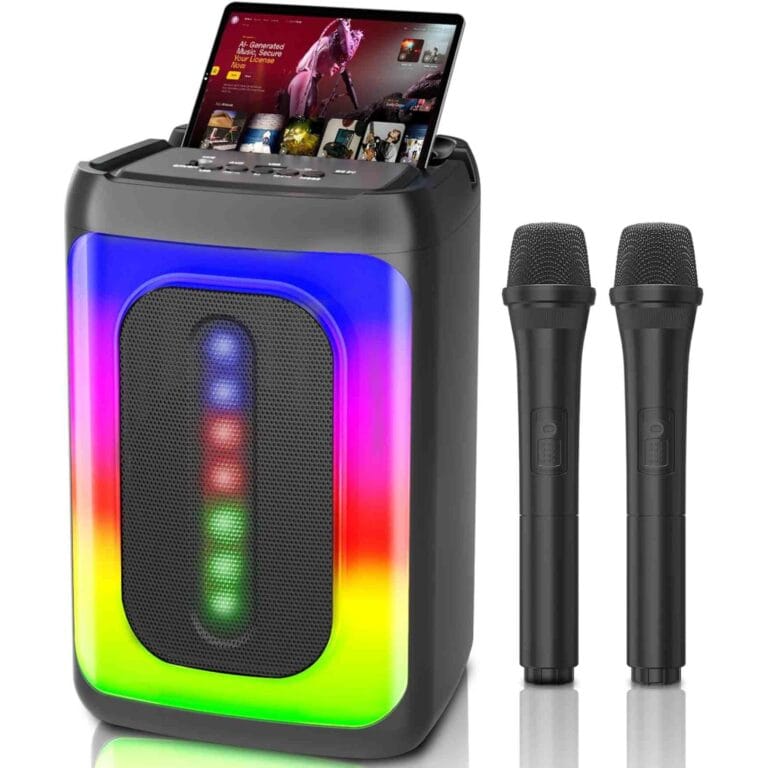 karaoke machine with two microphones