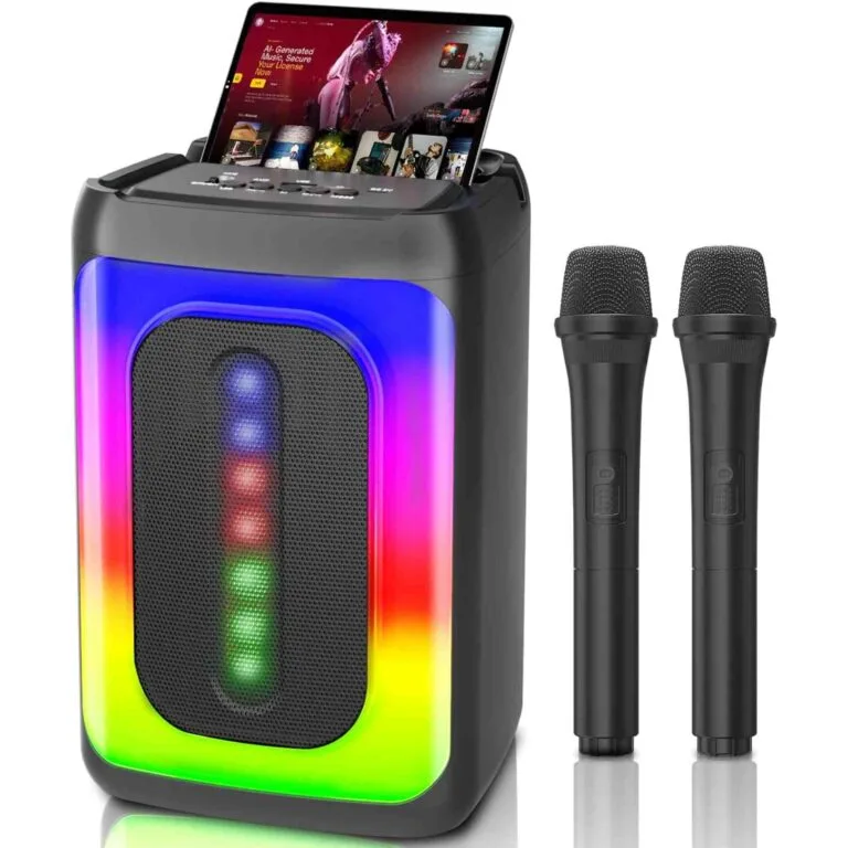 karaoke machine with two microphones