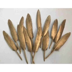 some feathers that are gold in colour great for a 1920's party decor or costume