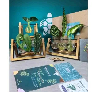 Plant Propagation Station Complete Gift Set