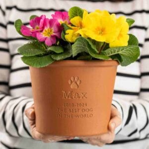 Engraved with your pet's name and a paw print