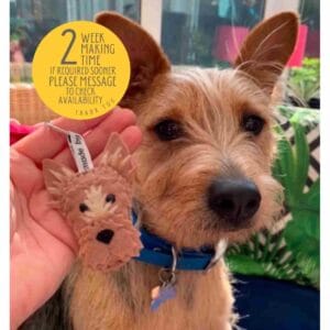 brooch is made to look like your beloved pet with as much detail as possible put in to i