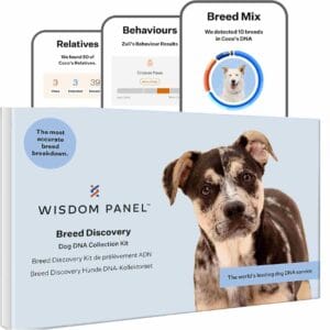 Wisdom Panel Breed Discovery Dog DNA Test Kit