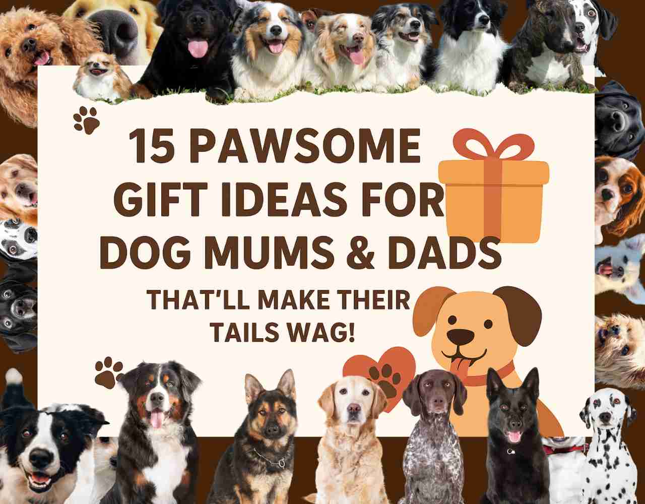 gift ideas for a dog mom or dad