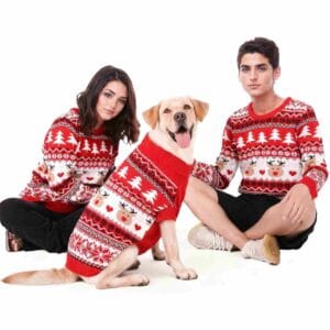 dog pygamas that match humans