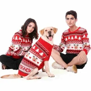 dog pygamas that match humans