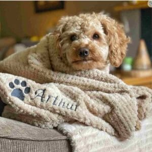 Personalised, embroidered dog blanket - gift for dpg parent